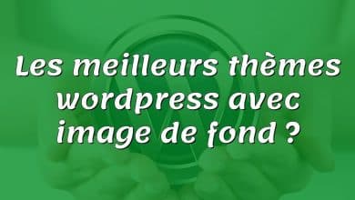 Les meilleurs thèmes wordpress avec image de fond ?