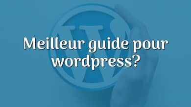 Meilleur guide pour wordpress?