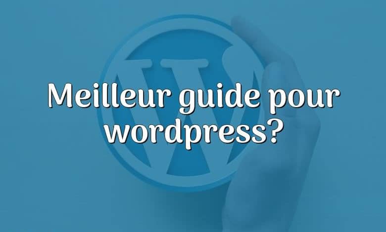 Meilleur guide pour wordpress?