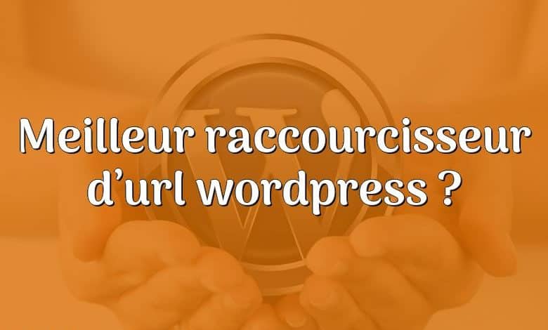 Meilleur raccourcisseur d’url wordpress ?