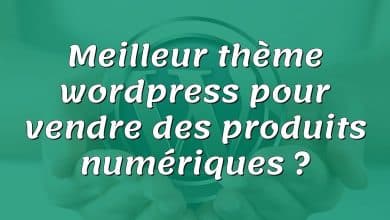 Meilleur thème wordpress pour vendre des produits numériques ?