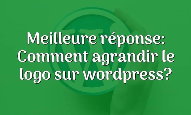 Meilleure réponse: Comment agrandir le logo sur wordpress?