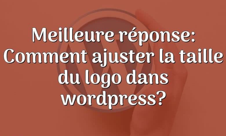 Meilleure réponse: Comment ajuster la taille du logo dans wordpress?