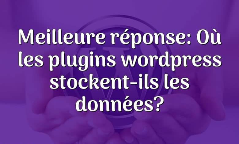 Meilleure réponse: Où les plugins wordpress stockent-ils les données?