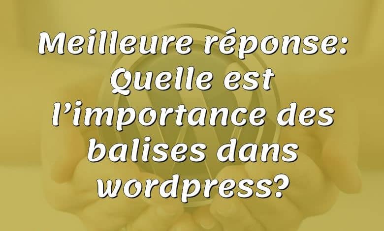 Meilleure réponse: Quelle est l’importance des balises dans wordpress?