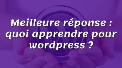 Meilleure réponse : quoi apprendre pour wordpress ?