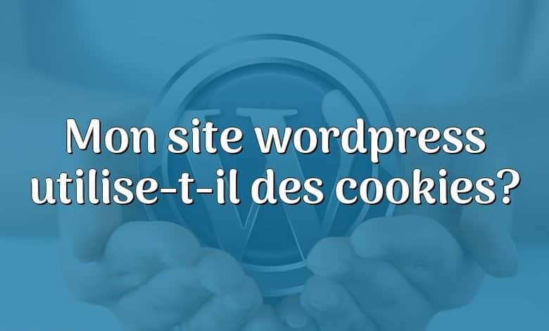 Mon site wordpress utilise-t-il des cookies?