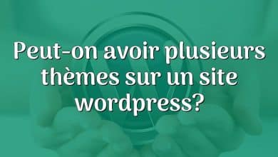 Peut-on avoir plusieurs thèmes sur un site wordpress?