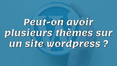 Peut-on avoir plusieurs thèmes sur un site wordpress ?