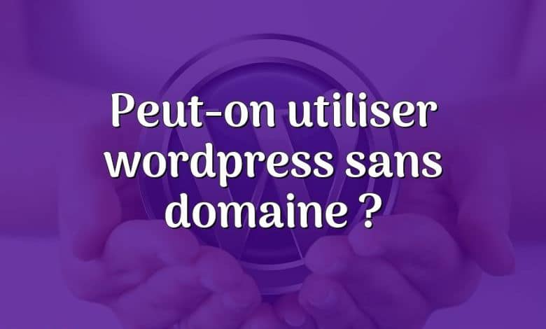 Peut-on utiliser wordpress sans domaine ?