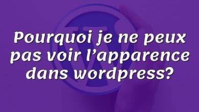 Pourquoi je ne peux pas voir l’apparence dans wordpress?