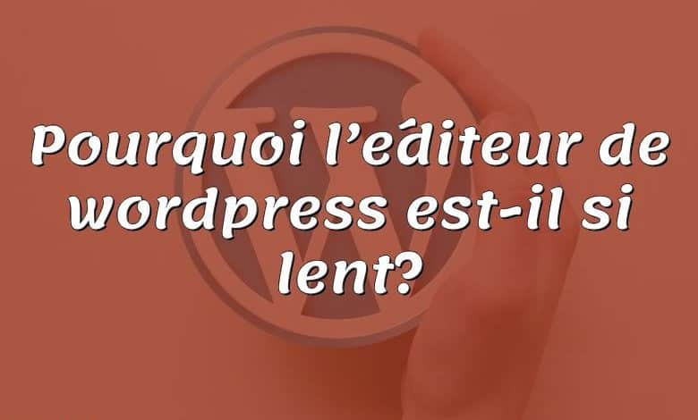 Pourquoi l’éditeur de wordpress est-il si lent?