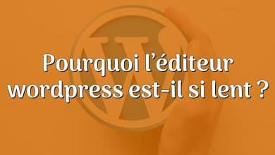 Pourquoi l’éditeur wordpress est-il si lent ?