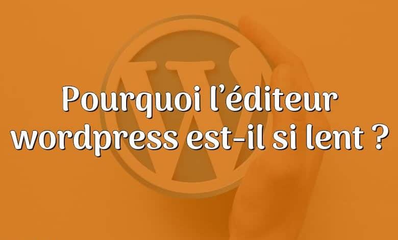 Pourquoi l’éditeur wordpress est-il si lent ?