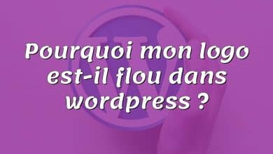 Pourquoi mon logo est-il flou dans wordpress ?