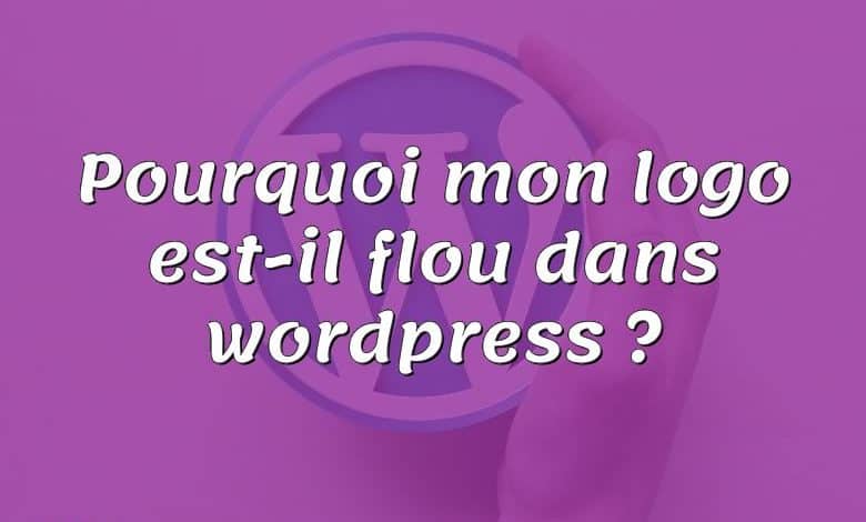 Pourquoi mon logo est-il flou dans wordpress ?