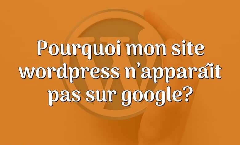 Pourquoi mon site wordpress n’apparaît pas sur google?