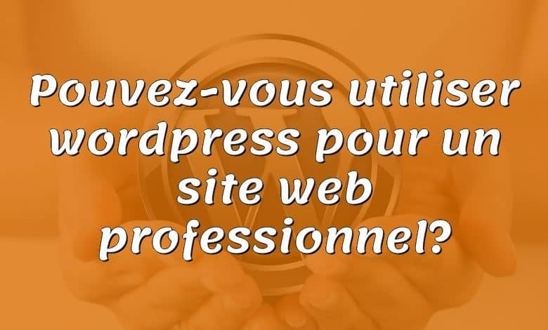 Pouvez-vous utiliser wordpress pour un site web professionnel?