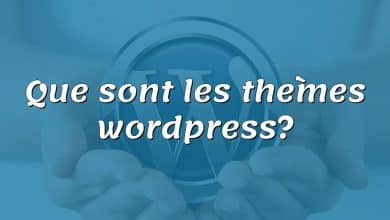 Que sont les thèmes wordpress?