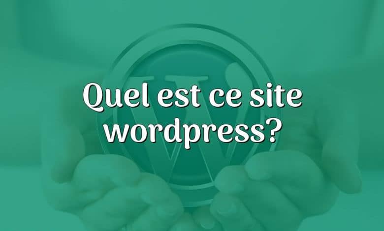 Quel est ce site wordpress?