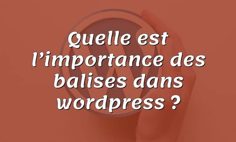 Quelle est l’importance des balises dans wordpress ?