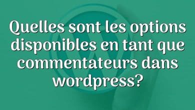 Quelles sont les options disponibles en tant que commentateurs dans wordpress?