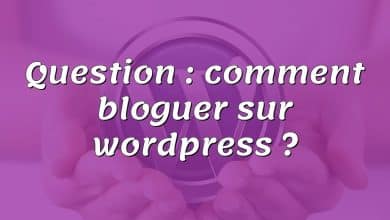 Question : comment bloguer sur wordpress ?