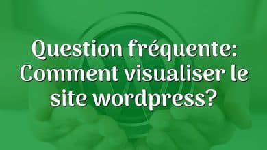 Question fréquente: Comment visualiser le site wordpress?