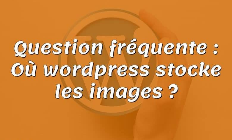 Question fréquente : Où wordpress stocke les images ?