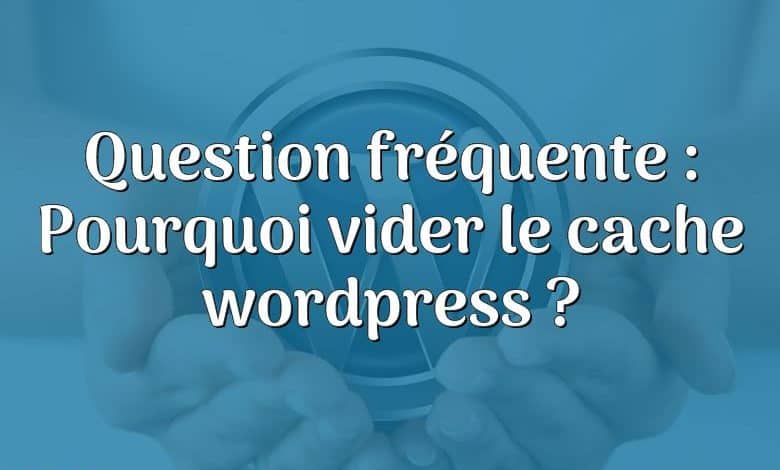 Question fréquente : Pourquoi vider le cache wordpress ?