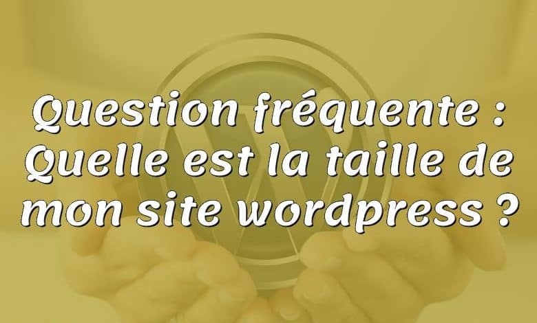 Question fréquente : Quelle est la taille de mon site wordpress ?