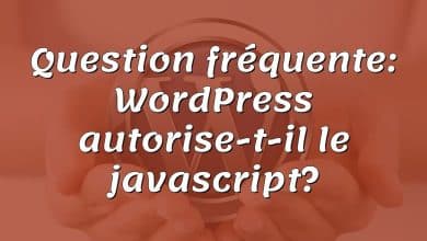 Question fréquente: WordPress autorise-t-il le javascript?