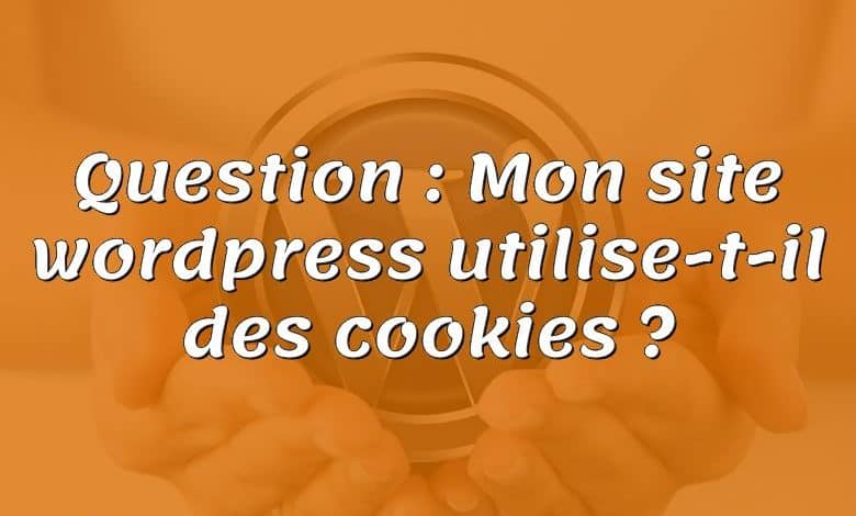 Question : Mon site wordpress utilise-t-il des cookies ?