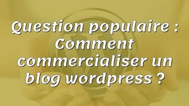 Question populaire : Comment commercialiser un blog wordpress ?