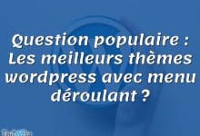 Question populaire : Les meilleurs thèmes wordpress avec menu déroulant ?