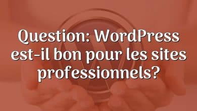 Question: WordPress est-il bon pour les sites professionnels?