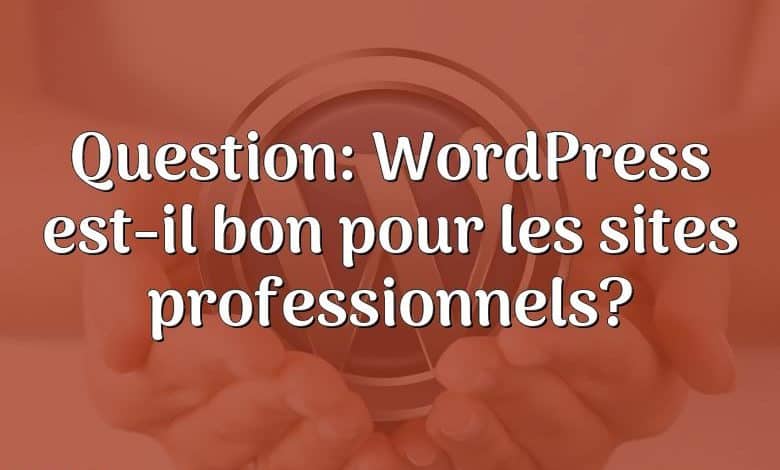 Question: WordPress est-il bon pour les sites professionnels?