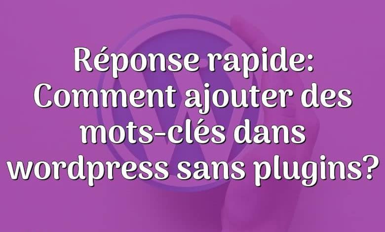 Réponse rapide: Comment ajouter des mots-clés dans wordpress sans plugins?