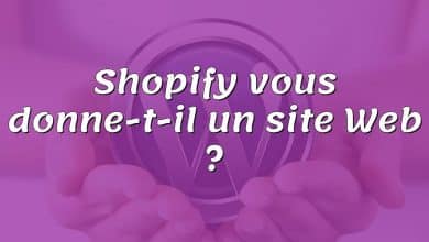 Shopify vous donne-t-il un site Web ?