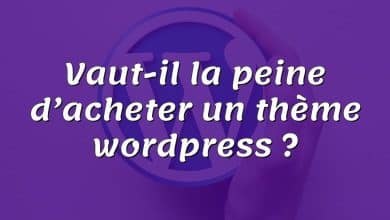 Vaut-il la peine d’acheter un thème wordpress ?