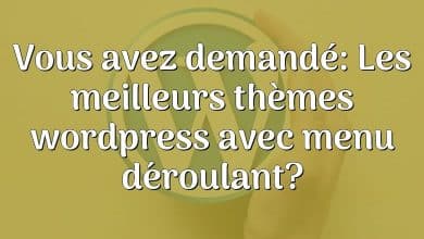 Vous avez demandé: Les meilleurs thèmes wordpress avec menu déroulant?