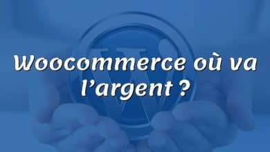 Woocommerce où va l’argent ?