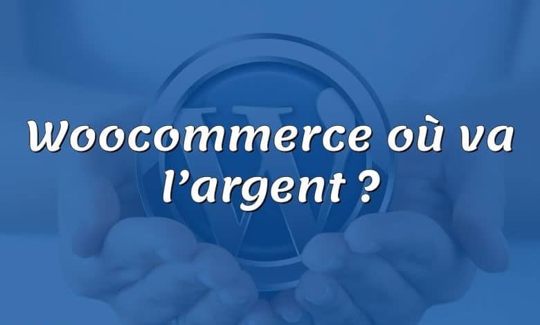 Woocommerce où va l’argent ?