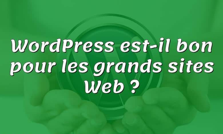 WordPress est-il bon pour les grands sites Web ?