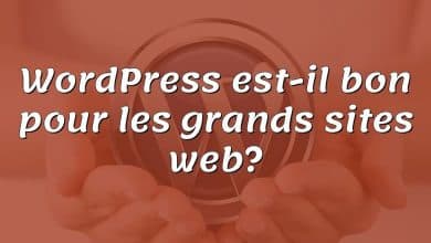 WordPress est-il bon pour les grands sites web?