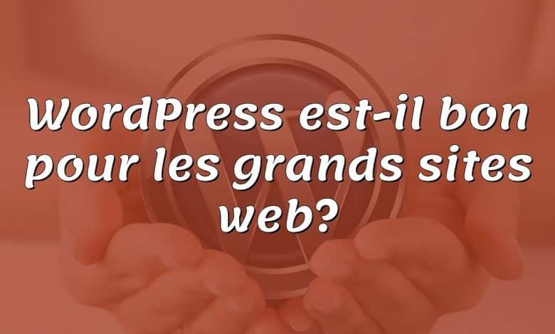 WordPress est-il bon pour les grands sites web?