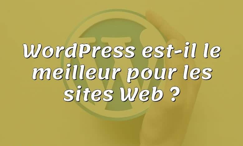 WordPress est-il le meilleur pour les sites Web ?