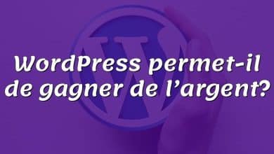 WordPress permet-il de gagner de l’argent?